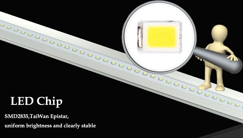 TUV Approved 160lm/W 180lm/W T8 LED Tube Light 5years Warranty